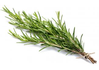 Екстракт концентрат розмарину