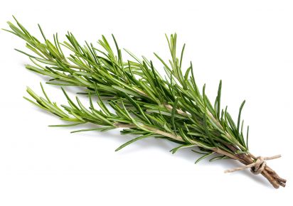 екстракт розмарину екстракт розмарину