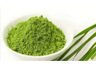 Витграсс Витграсс