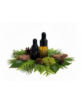 Эфирное масло Woodland Walk Nature Blend, Now Foods TEST Product Title Эфирное масло Woodland Walk Nature Blend, Now Foods TEST Product Alt