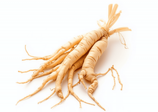 Екстракт концентрат кореня женьшеню Екстракт концентрат кореня женьшеню