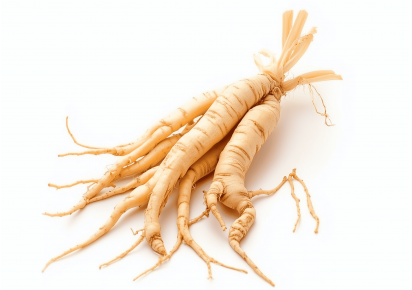 Экстракт корня женьшеня 10 мл — натуральный стимулятор энергии и молодости Флакон экстракта корня женьшеня 10 мл